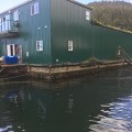 feed barge needing floatation after
